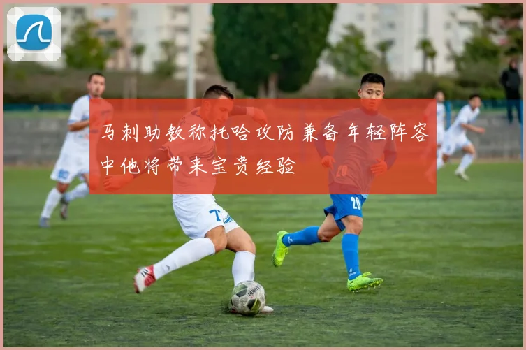 马刺助教称托哈攻防兼备年轻阵容中他将带来宝贵经验