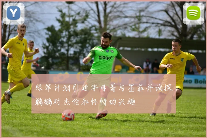 绿军计划引进字母哥与墨菲并试探鹈鹕对杰伦和怀特的兴趣