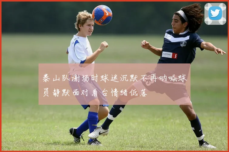 泰山队谢场时球迷沉默不再呐喊球员静默面对看台情绪低落